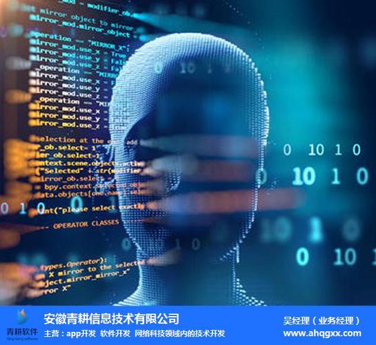 南京软件开发-电商平台软件开发-安徽青耕(诚信商家)